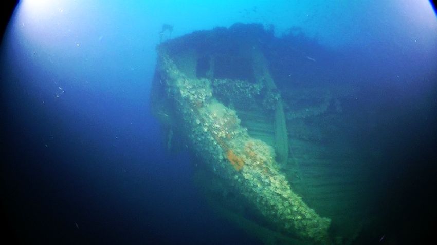 wreck discovery