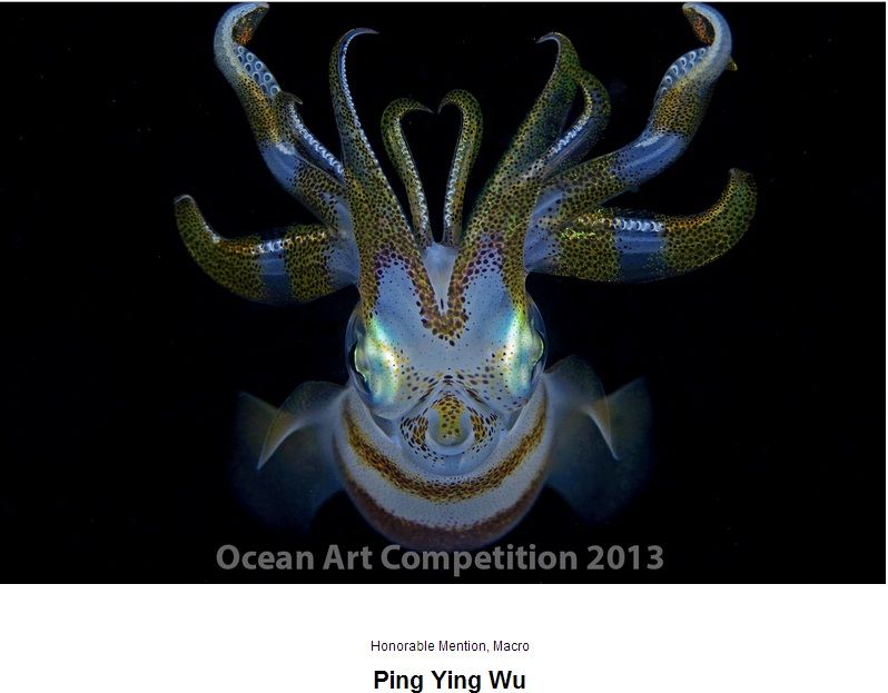 oceant art award 2013