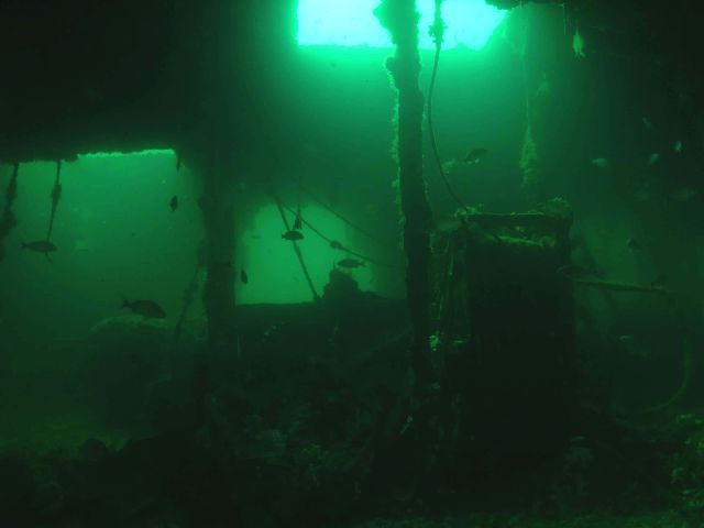 Dive Well Scuba