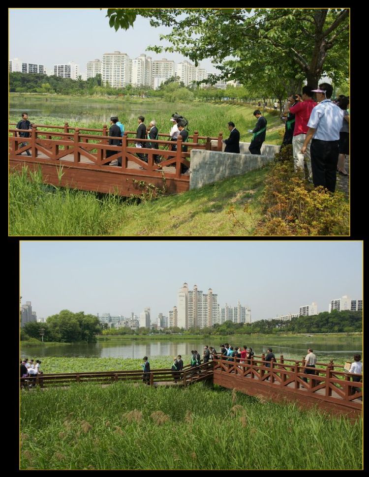 korea environment day 2009