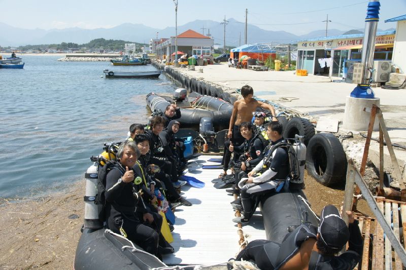 korea independence day dive